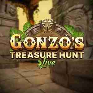 Gonzo's Treasure Hunt